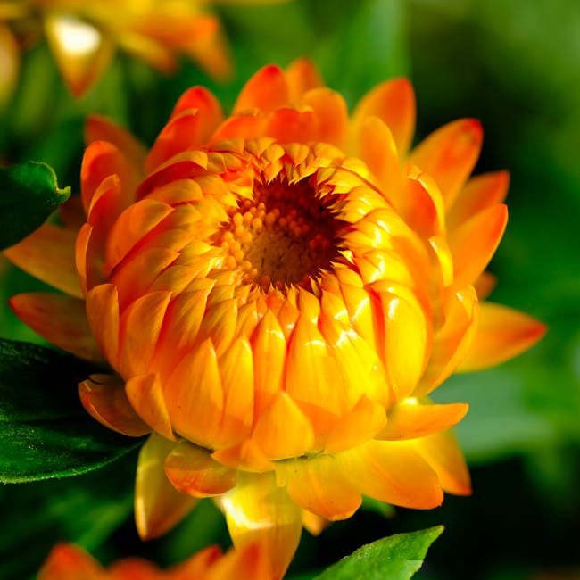 Sunset Orange Textiles